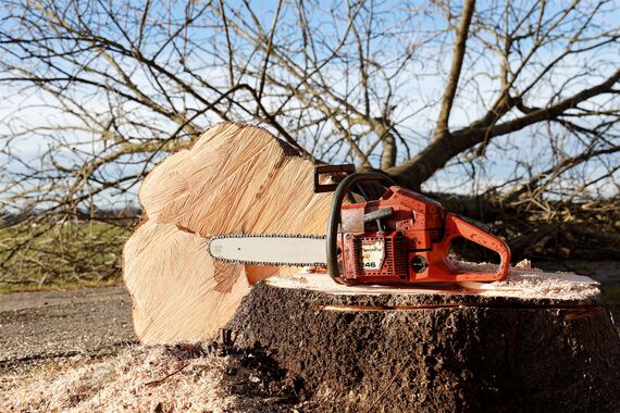 chainsaw-ge7947850d_1920