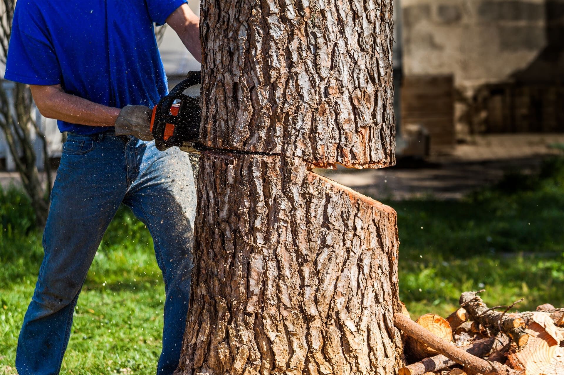 AdobeStock_153034217